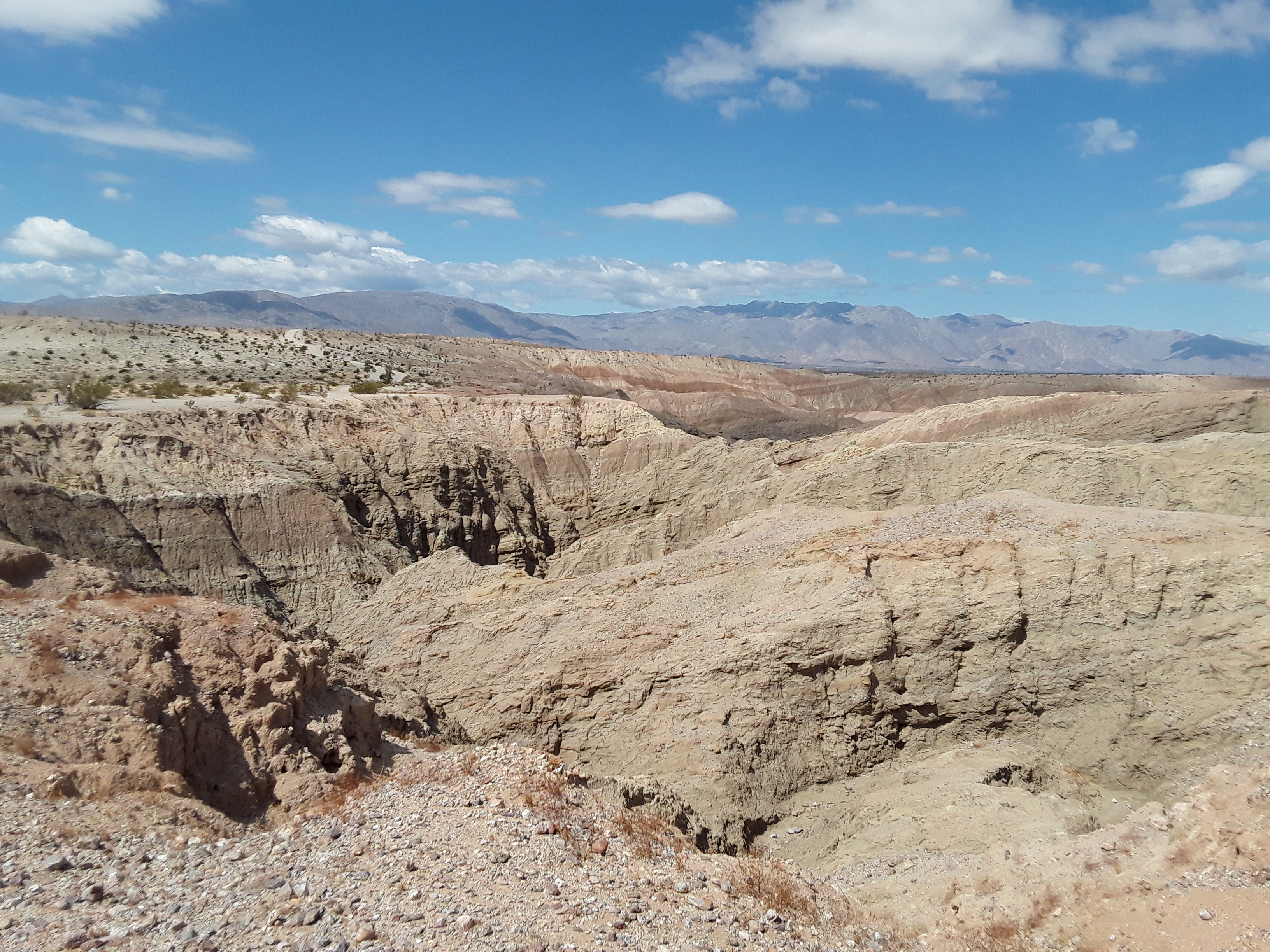 Six Easy, Lesser-Known Excursions at Anza-Borrego - Vimarsana News