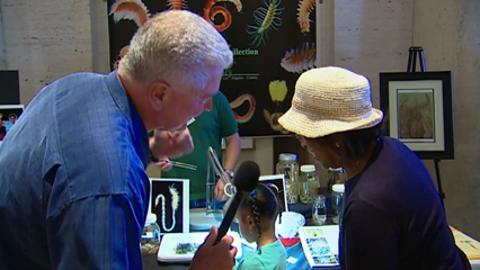 Huell Stops by L.A.'s Annual Bug Fair — The Largest Event of its Kind in North America - Vimarsana News